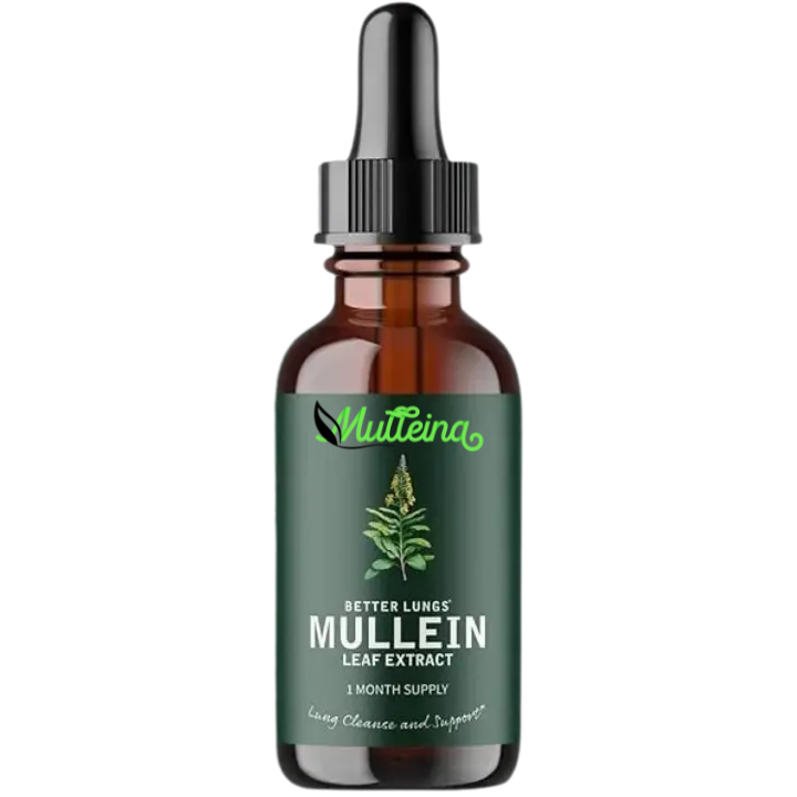 Mulleina | long detox
